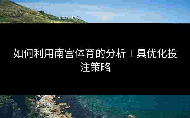 如何利用南宫体育的分析工具优化投注策略