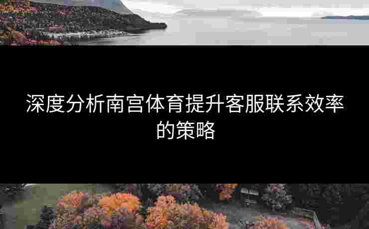 深度分析南宫体育提升客服联系效率的策略