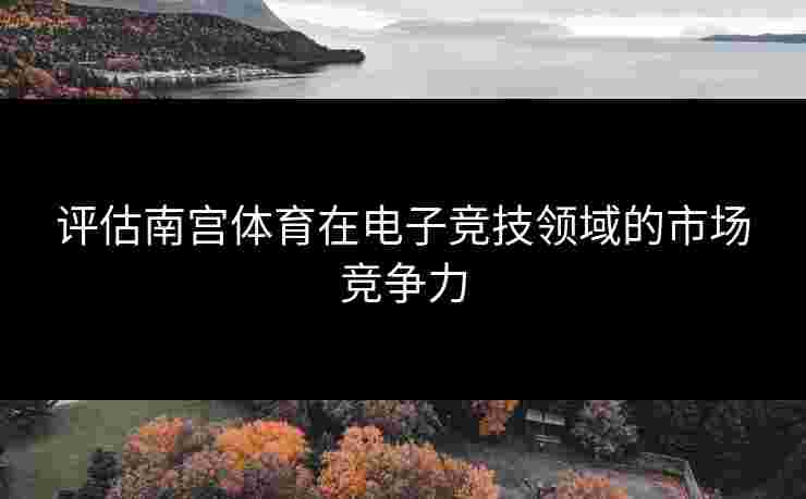 评估南宫体育在电子竞技领域的市场竞争力