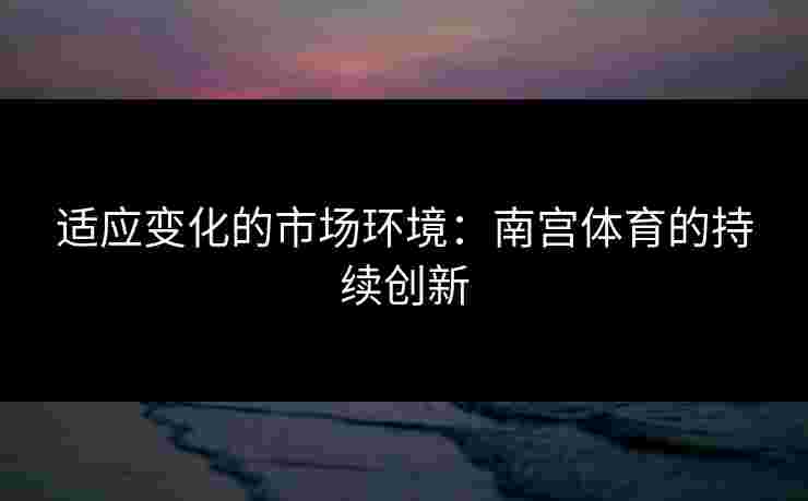 适应变化的市场环境：南宫体育的持续创新
