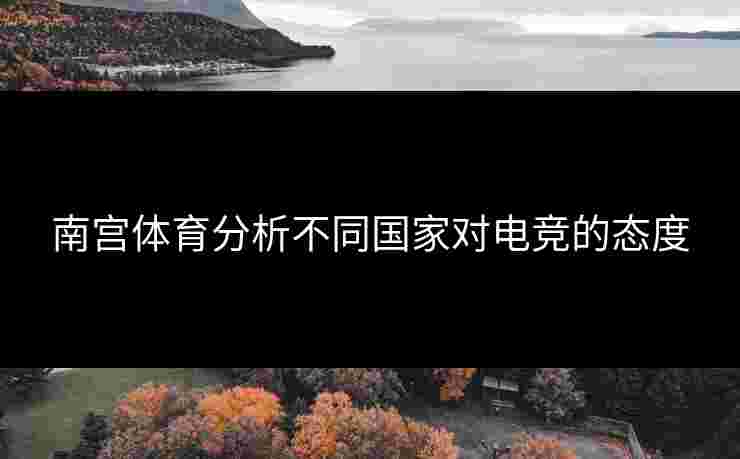 南宫体育分析不同国家对电竞的态度